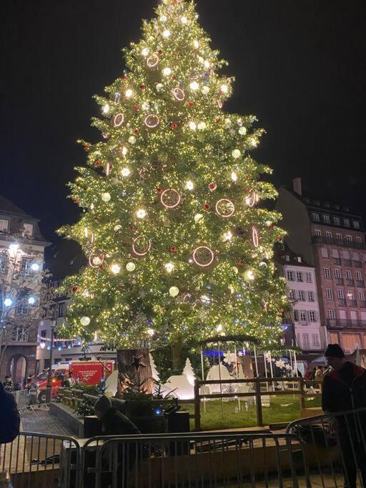 Studio Strasbourg Centre Екстер'єр фото